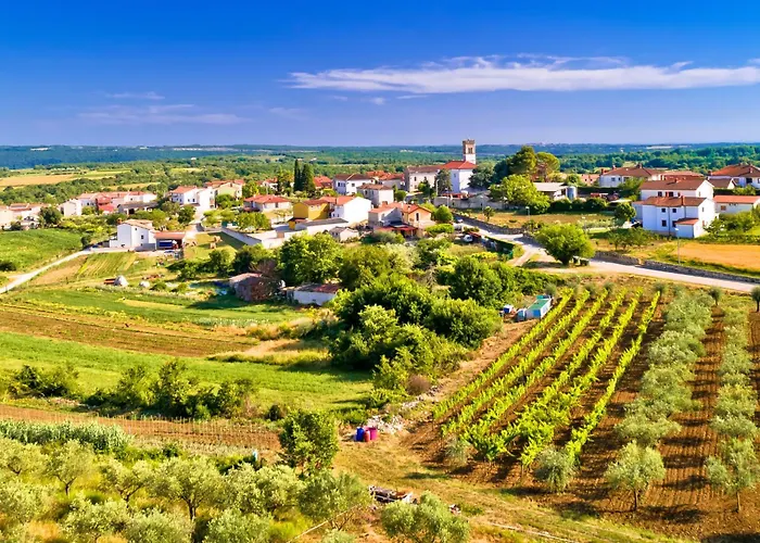 Villa Vigneto By Interhome Brtonigla